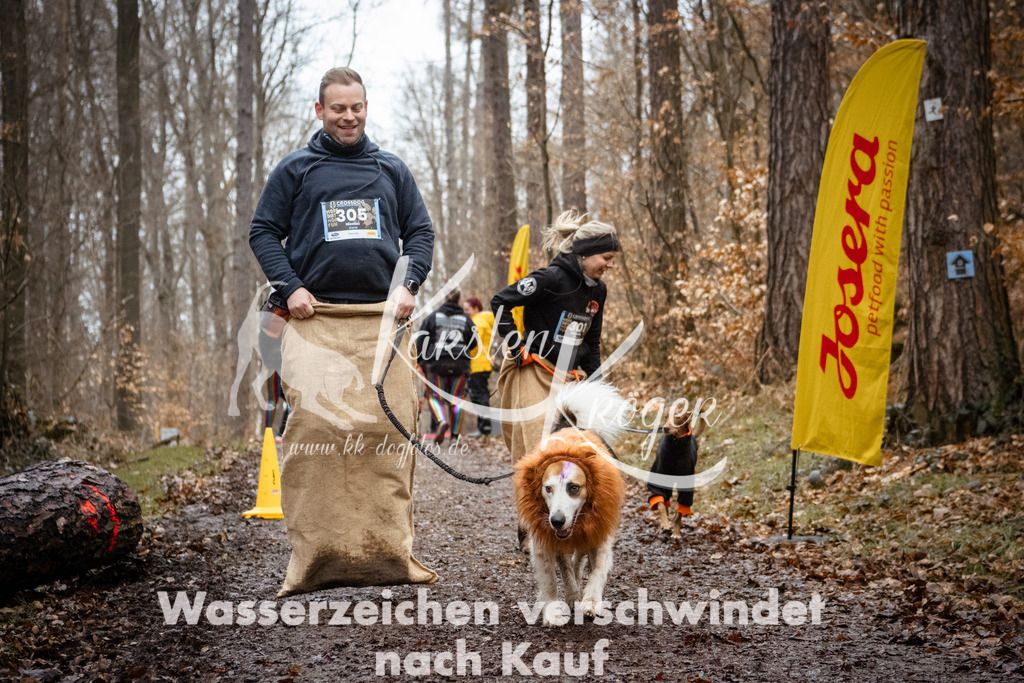 1151_ZZ92419 | kk-dogfotos