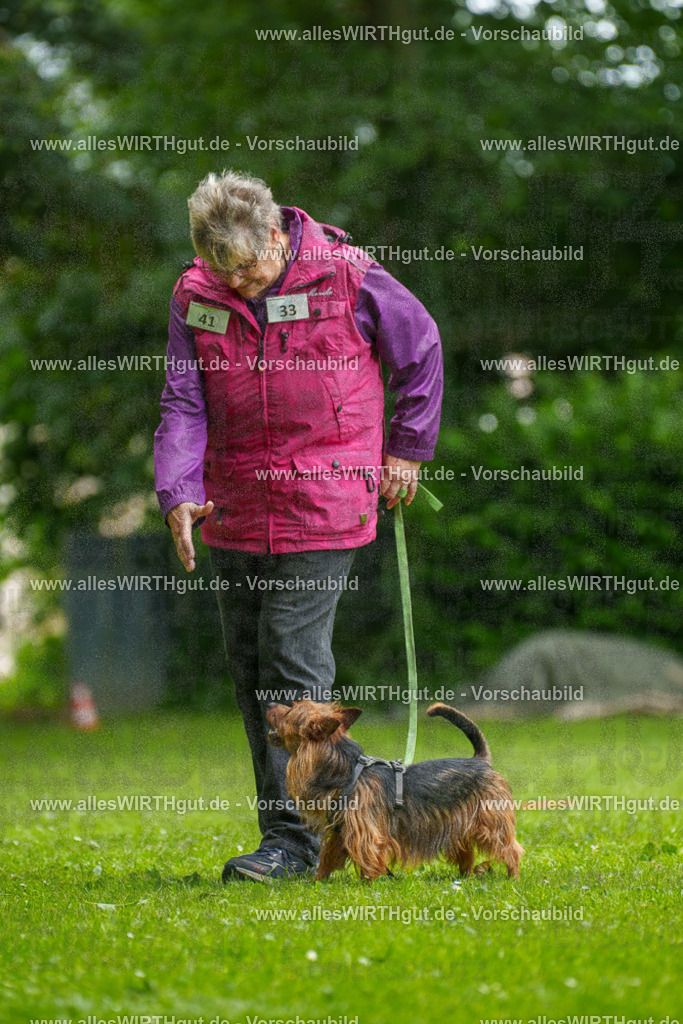 @allesWIRTHgut_Tierfotografie - www.allesWIRTHgut.de - 130633-7R509775 | Professionelle Tierfotografie in Mönchengladbach von Daniel Wirth (allesWIRTHgut). Liebevolle & natürliche Bilder von Hunden & Katzen für unvergessliche Erinnerungen.