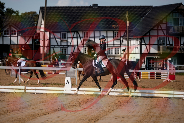 2026_10_03_Siefer-Hof_113325_Z63_19724228 | Professionelle Reitsport-, Turnier- und Eventfotografie von Robert Broda. Galerien mit ausgewählten und bearbeiteten Bildern direkt online ansehen und bestellen.