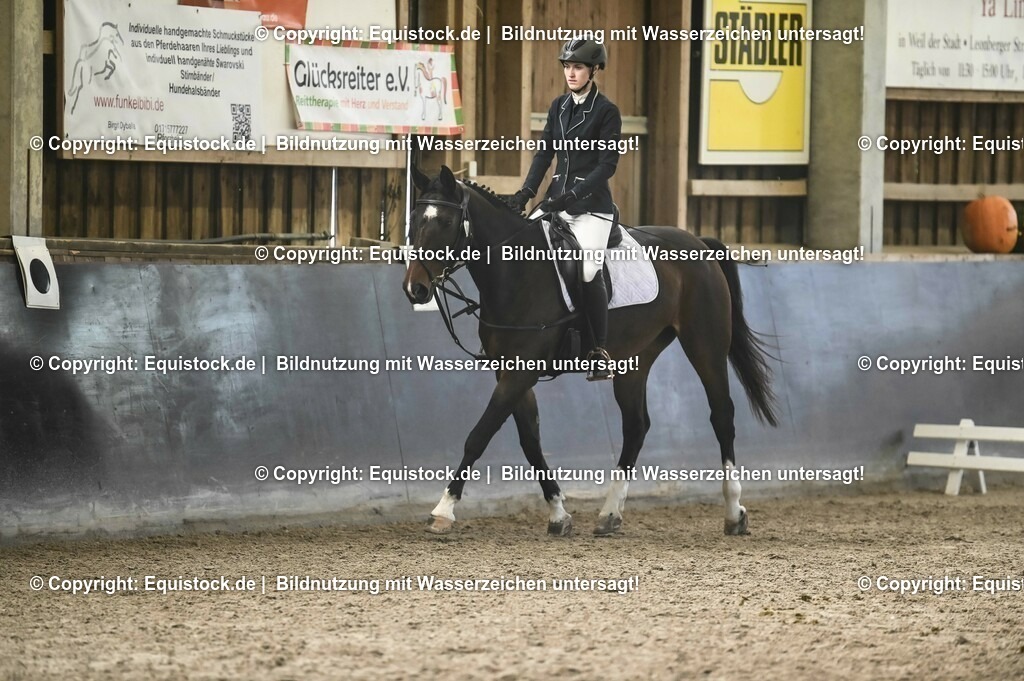 03_Reiter-WB_0137 | Foto: Thomas Hartig