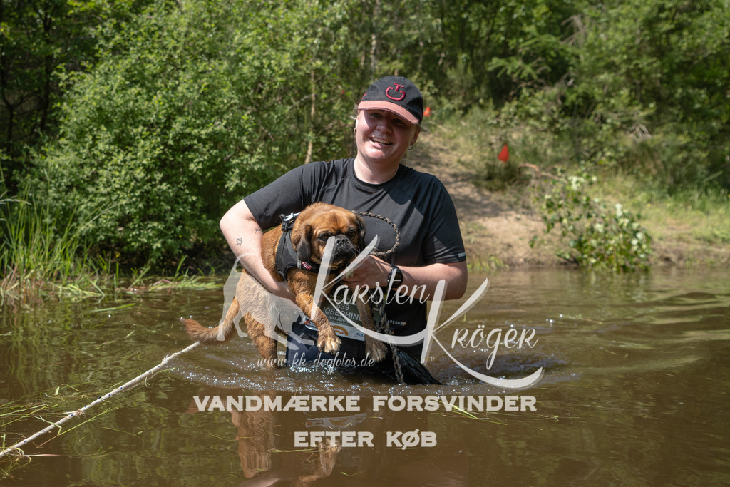 1330DKK994268 | kk-dogfotos