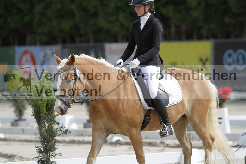 _MG_1276 | equestrian-live-com