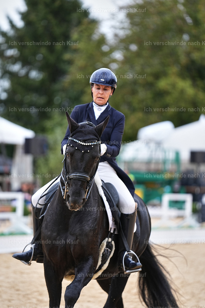 11-194-Dressur S___-Marixx-1501 | working equitationturnier fotograf videograf stoibphotography marixx film working equitation deutschland reitsport turnierfotografie eventfotografie equestrian events
