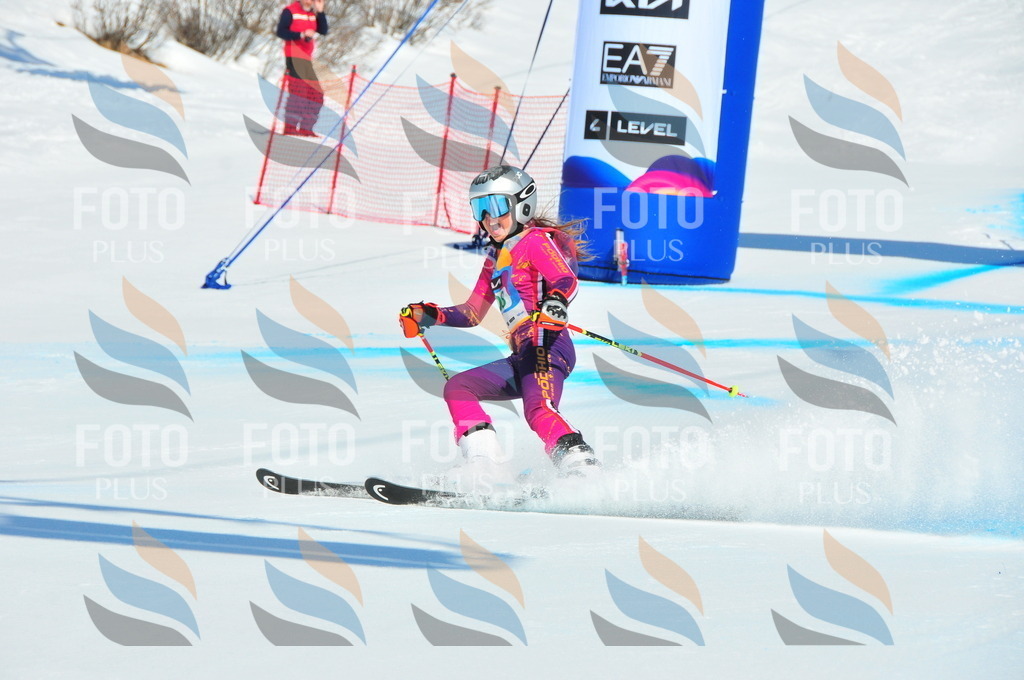 DSC_0799 | holidayphoto