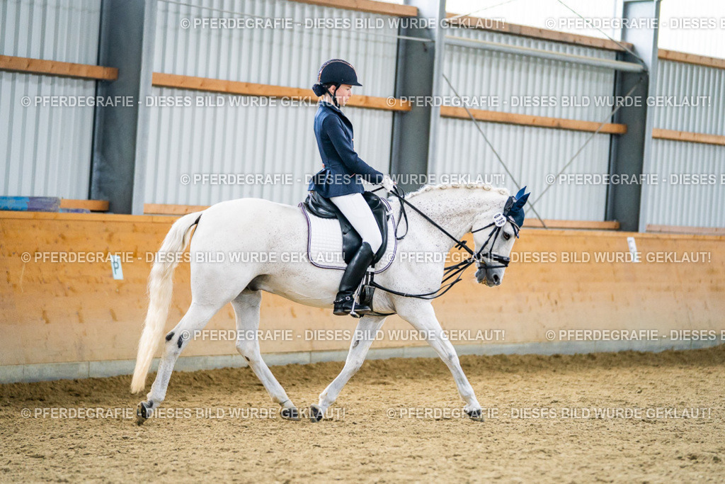 DSC04903 | Pferdegrafie