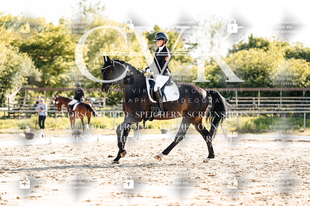 CK909948 | Turnierfotografie Pferdefotografie Trier Rheinland-Pfalz Pferdesport Reitsport Tierfotografie Sportfotografie Pferdevideo Pferdevideografie Equestrianvideography equestrianphotography  - Realisiert mit Pictrs.com