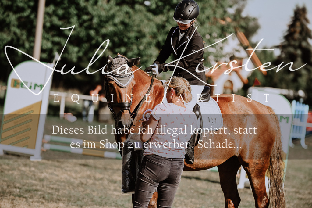 DSC_9518 | Pferde- und Turnierfotografie in Westsachsen. Pferdeportraits, Auftragszeichnungen und intuitive Kunst.