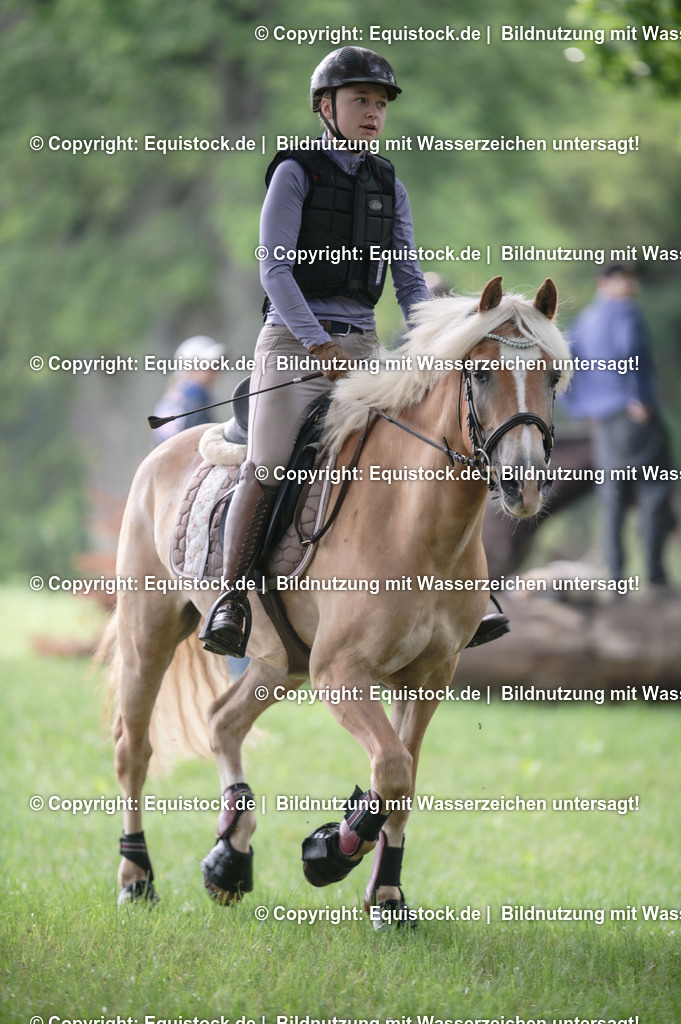 20250726_Vielseitigkeitslehrgang-Marbach_0009 | Foto: Thomas Hartig