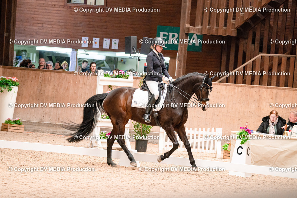 Dressur Tag 3-262 | dv-media-shop - Realisiert mit Pictrs.com