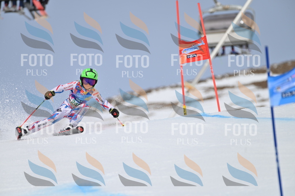 BGV_4743 | holidayphoto