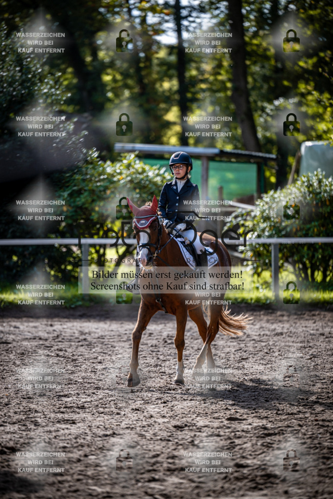 2026-10-Helle-20-4-0041 | Entdecke hochwertige Reitturnierfotos von Foto Oger. Professionell, emotional und authentisch – jetzt Lieblingsmomente im Shop bestellen.Deutschlandweite Turnierfotografie. - Realisiert mit Pictrs.com