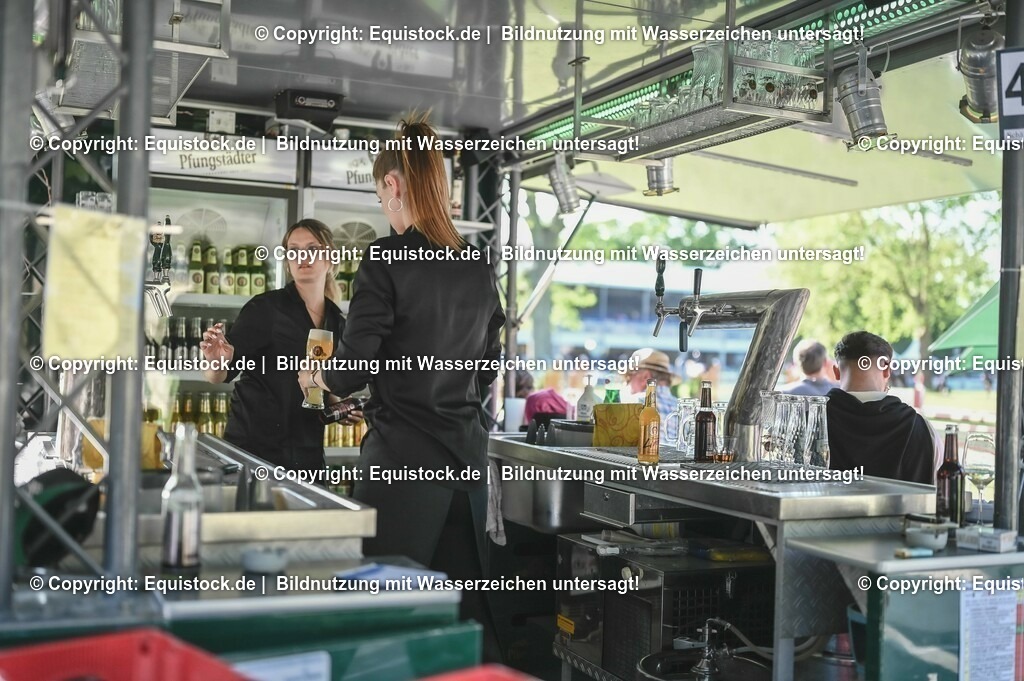 D78_3767 | equistock