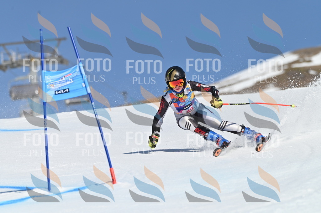 BGV_8389 | holidayphoto