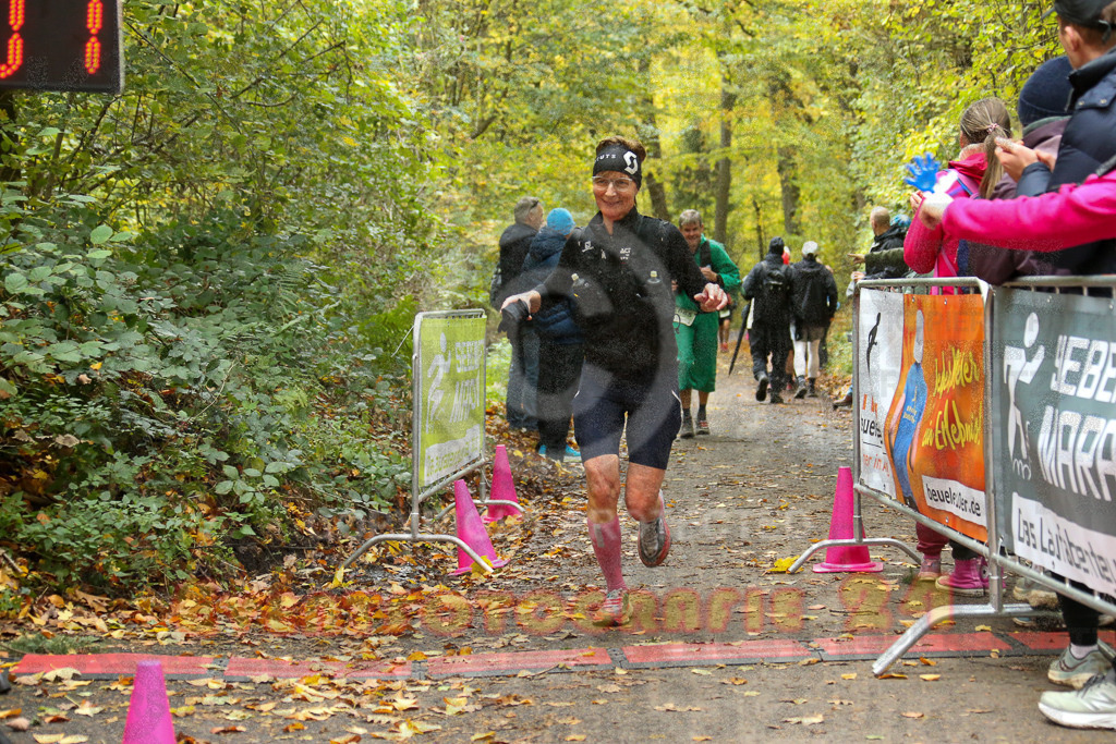 251026_1311_EX1_2785 | Sportfotografie im Rhein-Sieg Kreis, Köln, Bonn, NRW, Rheinland Pfalz, Hessen, etc. Unser Tätigkeitsfeld umfasst den Laufsport vom Volkslauf über den Marathon, Duathlon, Triathon bis zum Ultralauf wie Kölnpfad Ultra oder Schindertrail.