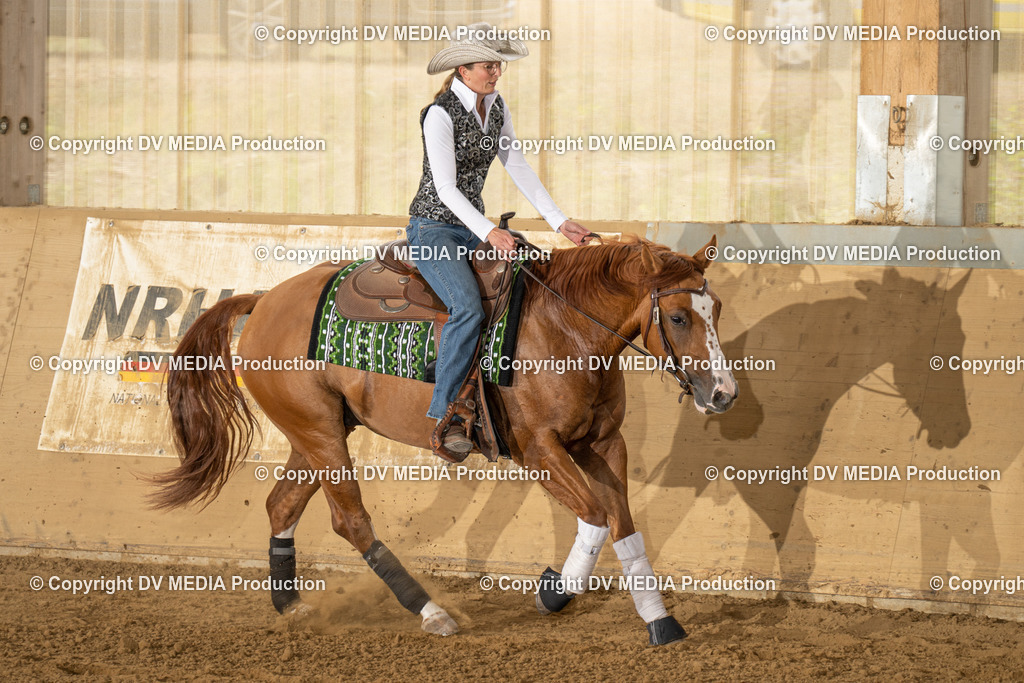 LAU01692 | dv-media-shop - Realisiert mit Pictrs.com