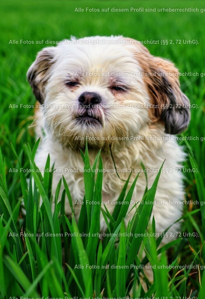 20240326162707_0C4A4331-01 | krollfotografie - Realisiert mit Pictrs.com