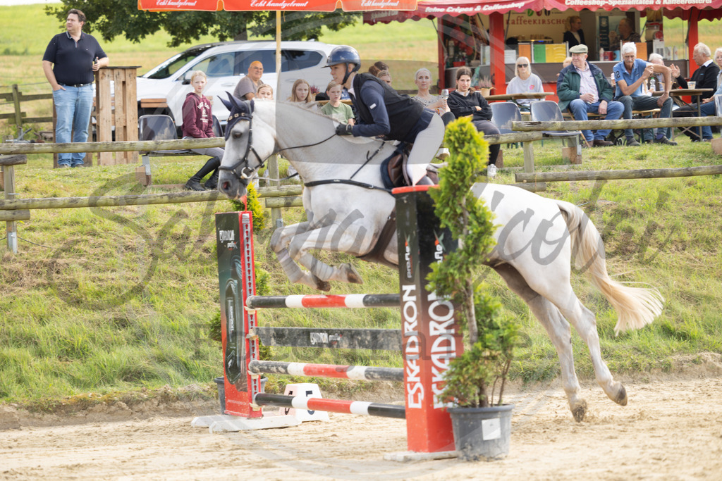 994A8324 | sabrinanicolaifotografie - Realisiert mit Pictrs.com