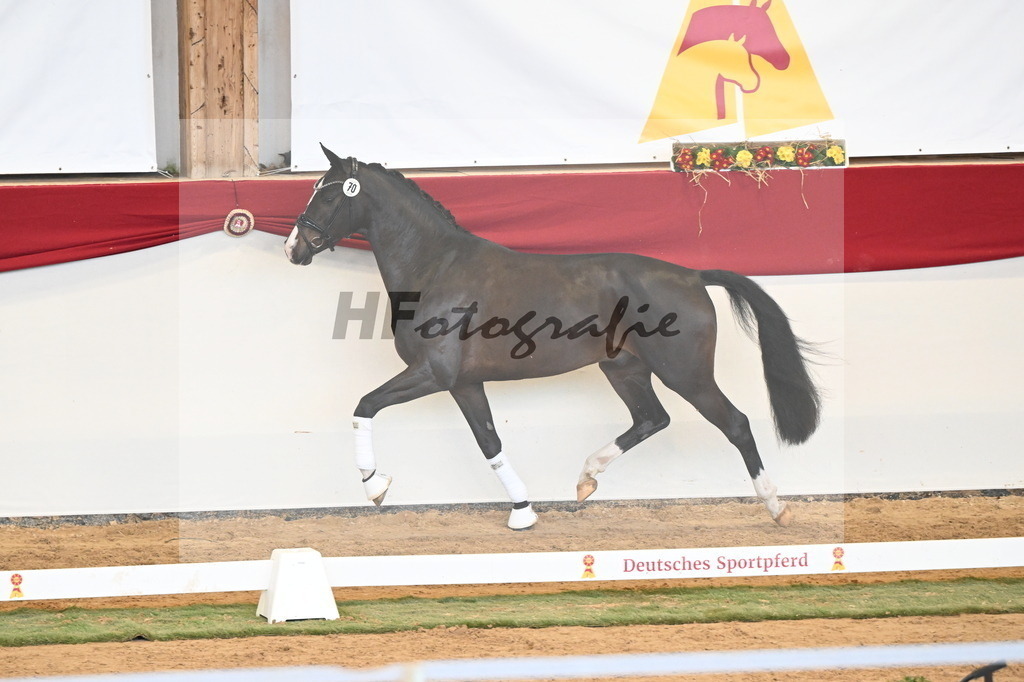 Kat.-Nr. 70 v. Negro_Holtwiesche_3260849 | hf-fotografie - Realisiert mit Pictrs.com