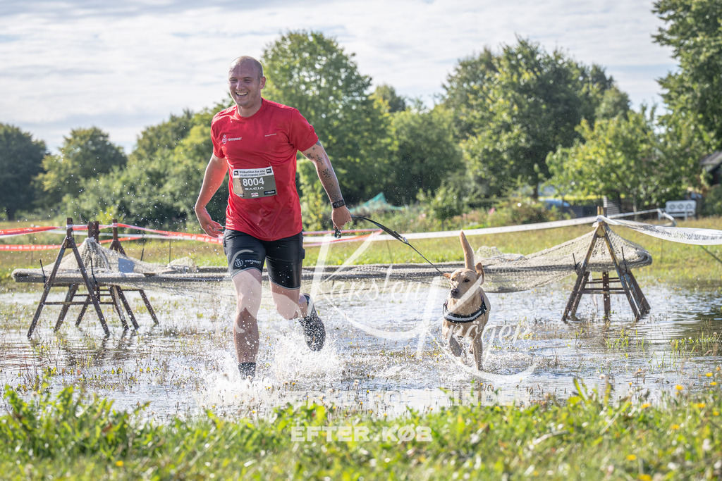 1031_ZZ90440 | kk-dogfotos