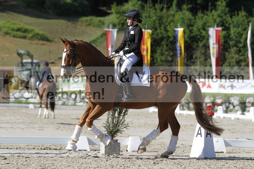 _MG_3083 | equestrian-live-com