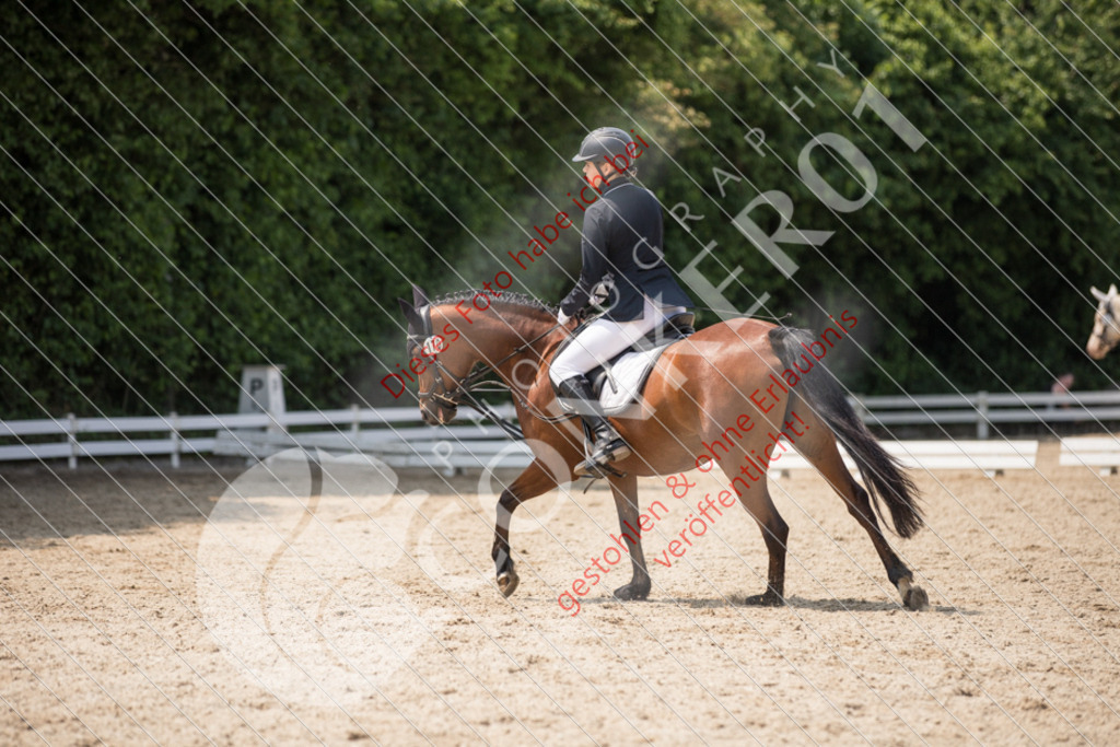 IMG_3542 | Sport-, Event- und Tierfotos in Profiqualität. Einfach auswählen, bestellen und herunterladen. Dein Moment – perfekt festgehalten.
