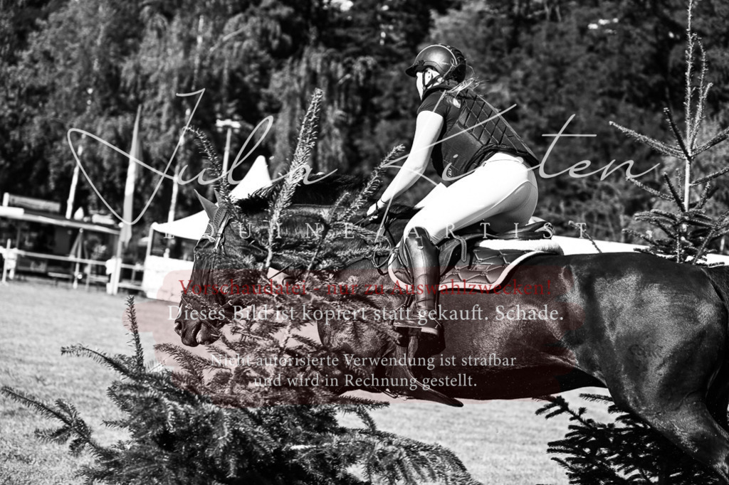 DSC_0917 | Pferde- und Turnierfotografie in Westsachsen. Pferdeportraits, Auftragszeichnungen und intuitive Kunst.
