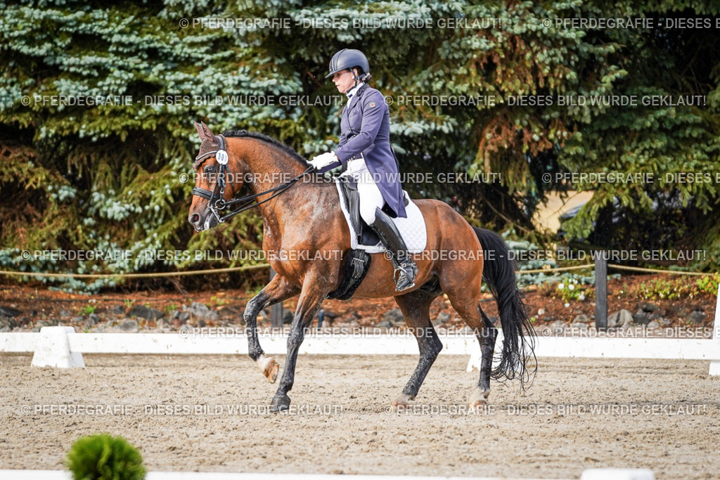 DSC00340 | Pferdegrafie