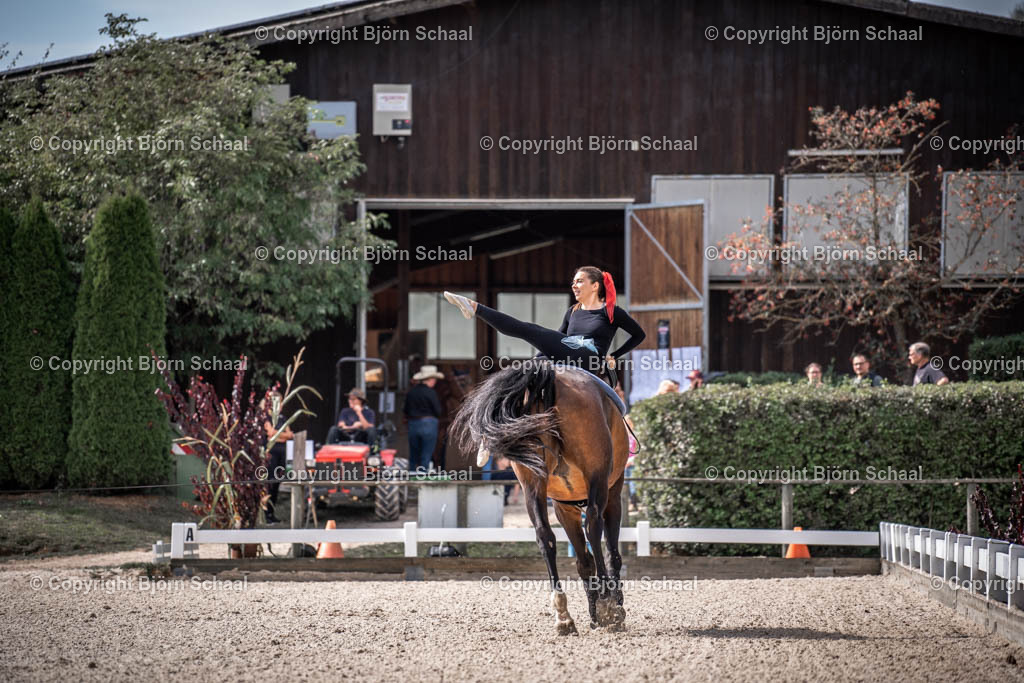 KBB09788 | BS-foto