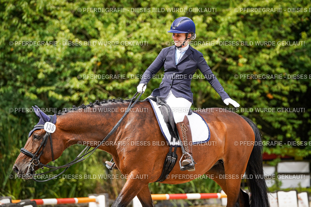 DSC05291 | Pferdegrafie