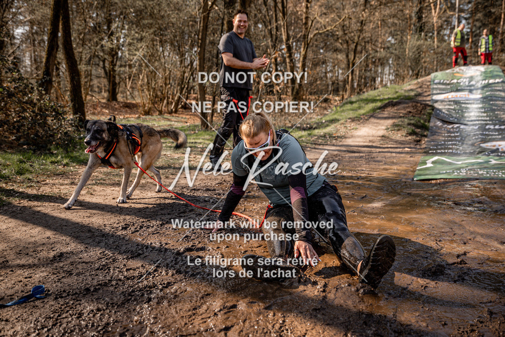 nelerasche_Hulsbeek_So1100-1130_297 | nelerasche