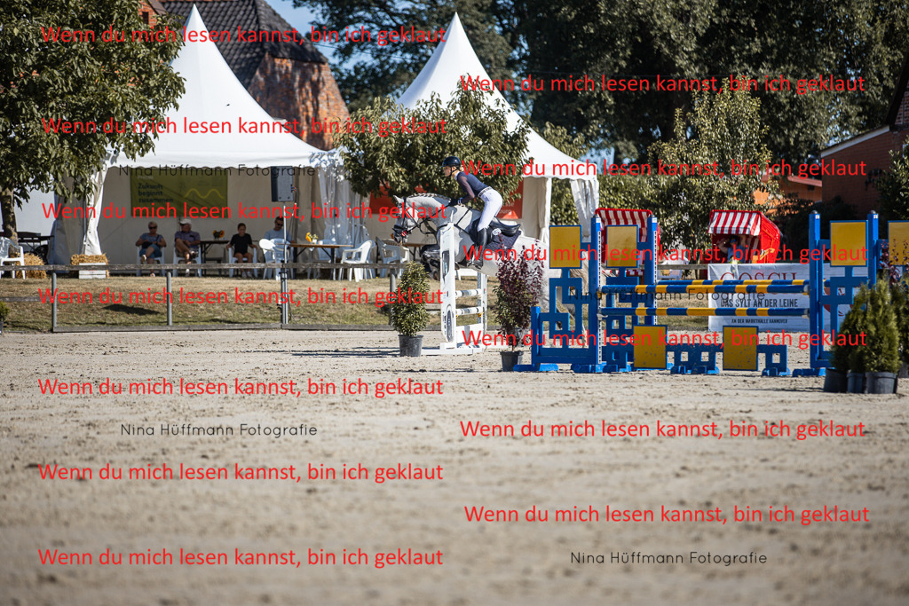 BK1A7181 | Turnierbilder Turnierfotos Nina Hüffmann Turnierfotografie Pferdefotografie Tierzeichnung Haustierzeichnung Pferdezeichnung Hundezeichnung Videograf  - Realisiert mit Pictrs.com