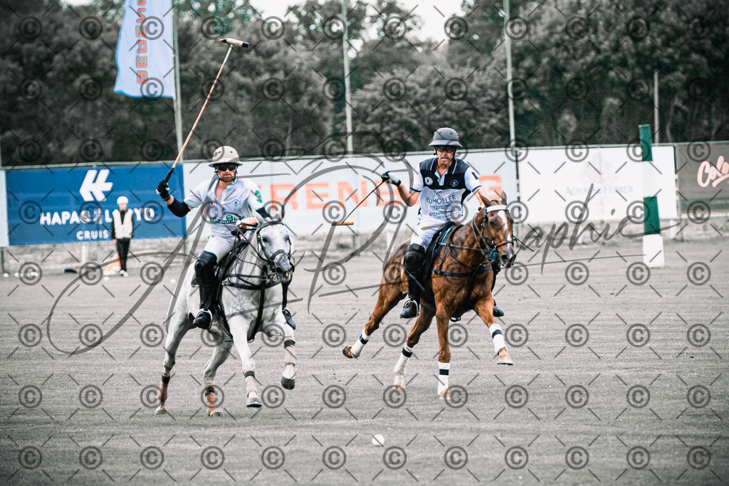 POL_2661 | andre_photographic