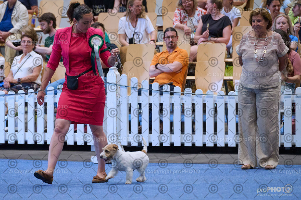 202406_ÖKV-IHA-Tulln24_DSC_3859 | proPHOTO - Realisiert mit Pictrs.com