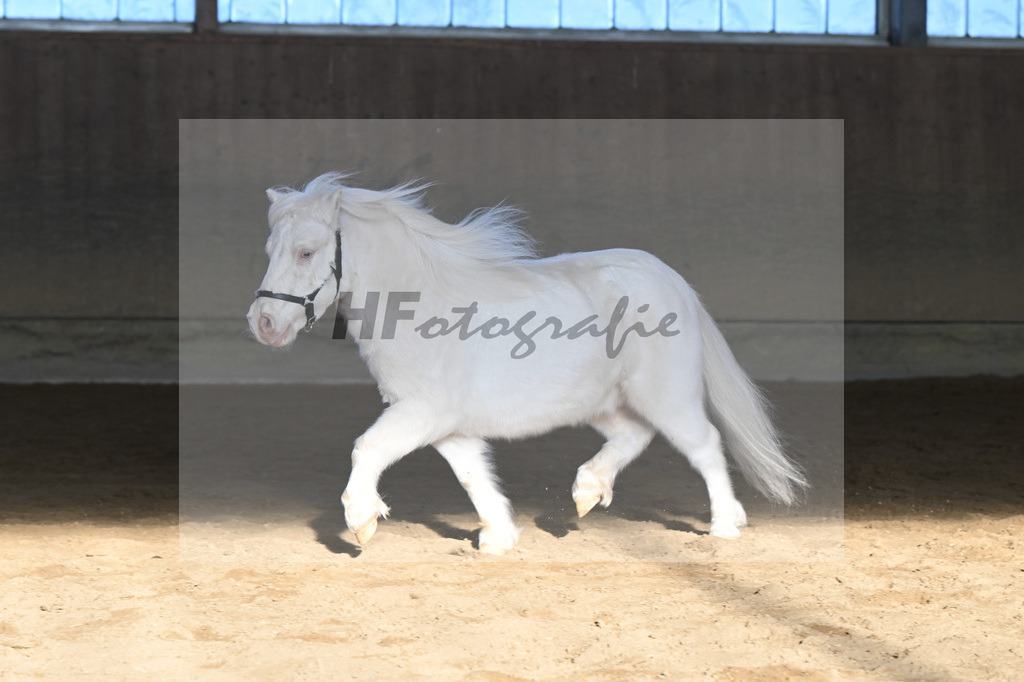 Kat-Nr. 14 Elmhorst Irish Cream v. Elmhorst Irish Coffee_Elmer_49250617 | hf-fotografie - Realisiert mit Pictrs.com