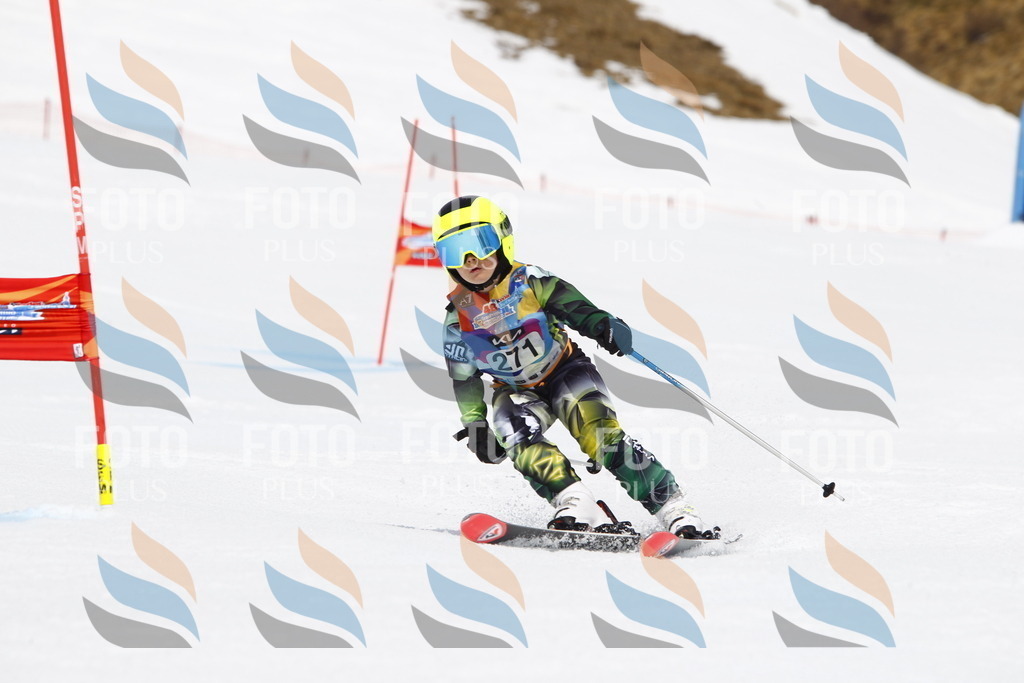 _U3G6790 | holidayphoto