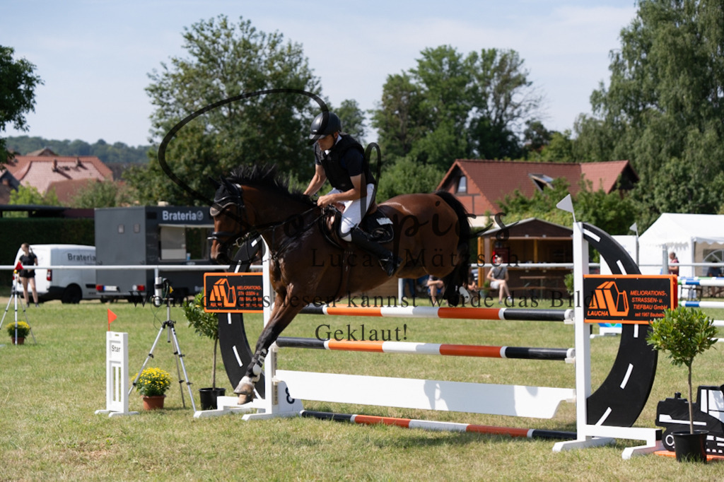 A7V01676 | Pferdefotograf