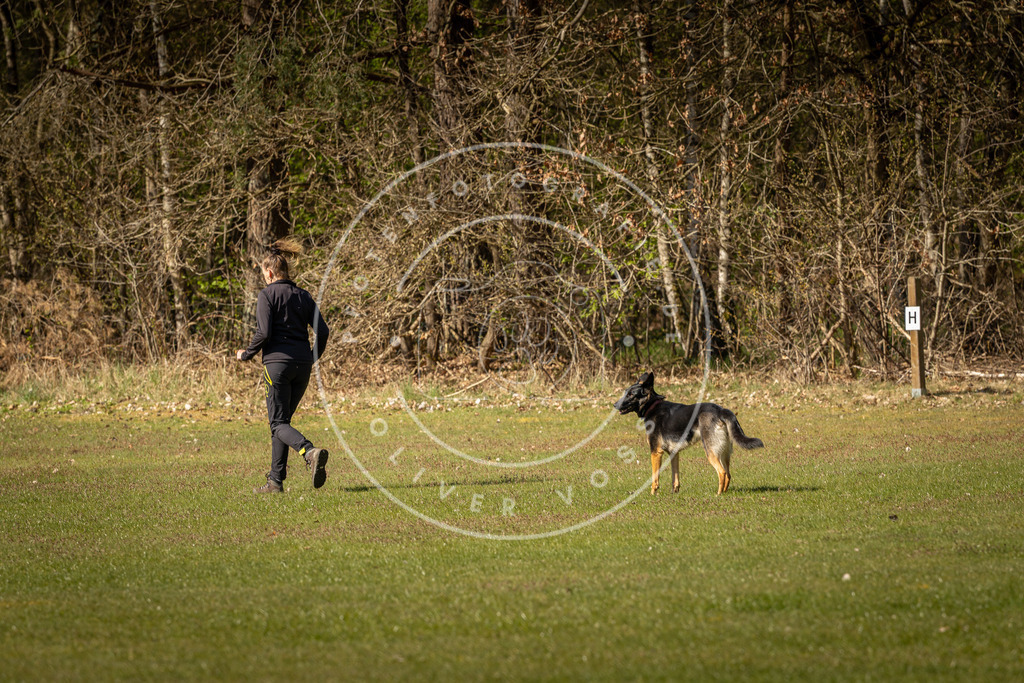 Pfotenfotografie_DV3A0475 | Hundefotografie, Tierfotograf, Pfotenfotografie, Fotoshooting Hund, Hunde Portrait, Hundesport, Hundeportraits, Heideshooting, Hunde, Sportfotograf, Hundefotograf, Turnierhundsport, THS,  - Realisiert mit Pictrs.com