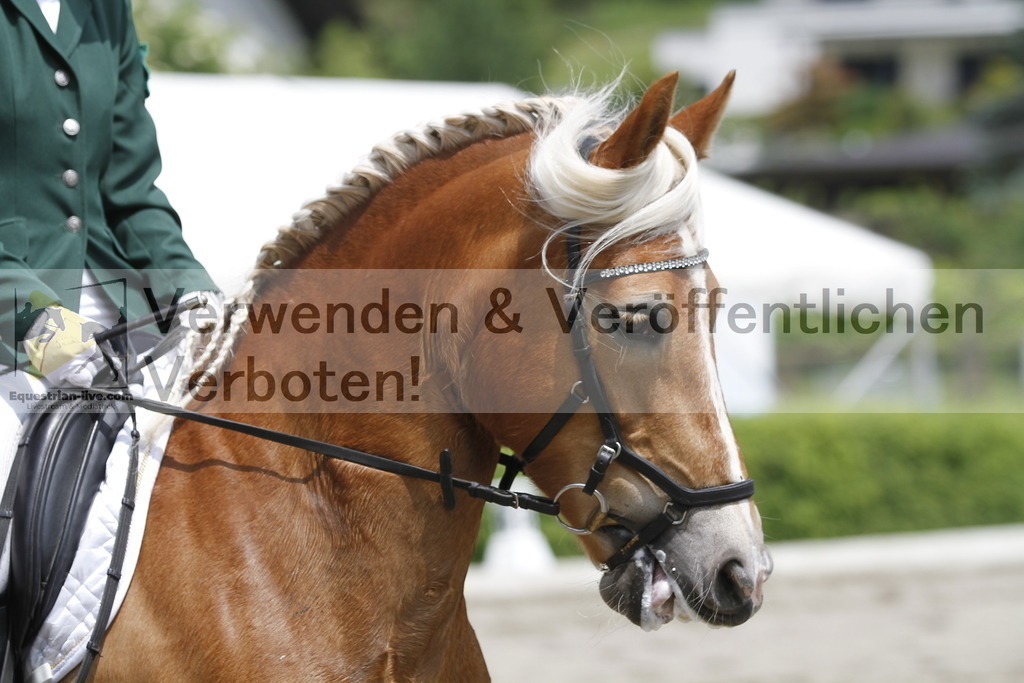 _MG_0500 | equestrian-live-com