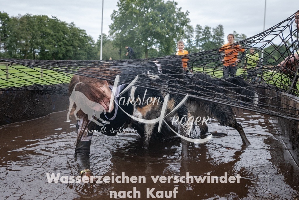 _ZZ93380 | kk-dogfotos