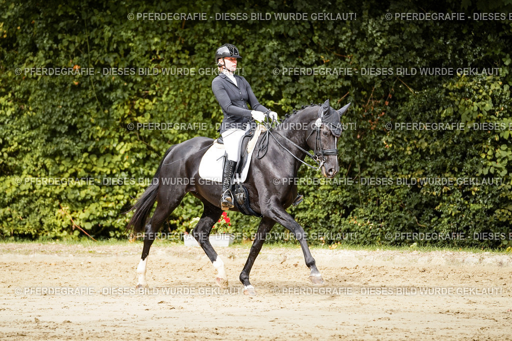 DSC03433 | Pferdegrafie