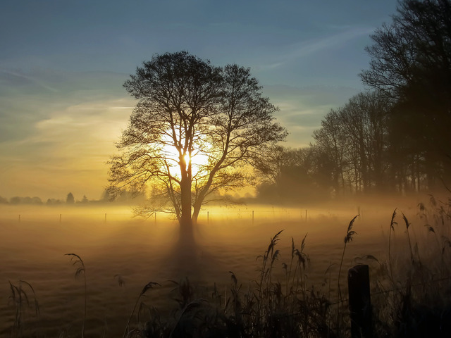 Gegenlicht-1 | Outdoorpixl Teßen OHG - Realisiert mit Pictrs.com