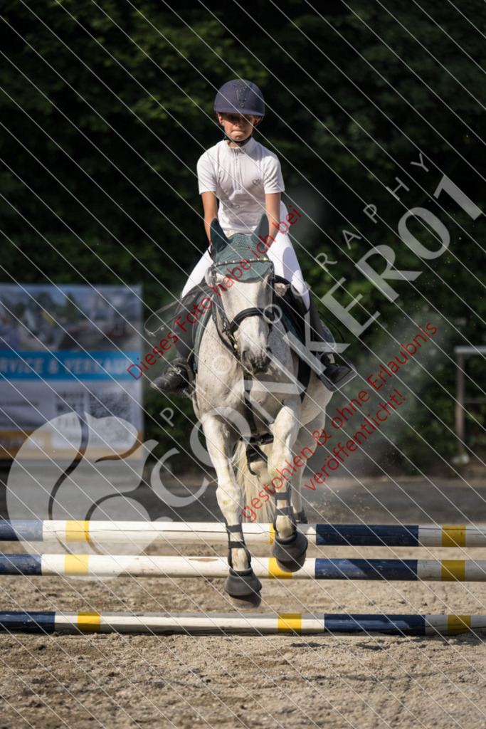 IMG_5999 | Sport-, Event- und Tierfotos in Profiqualität. Einfach auswählen, bestellen und herunterladen. Dein Moment – perfekt festgehalten.