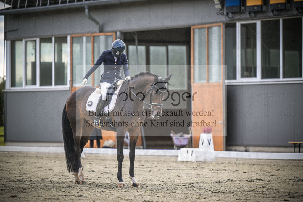 DOS_1353 | Entdecke hochwertige Reitturnierfotos von Foto Oger. Professionell, emotional und authentisch – jetzt Lieblingsmomente im Shop bestellen.Deutschlandweite Turnierfotografie. - Realisiert mit Pictrs.com