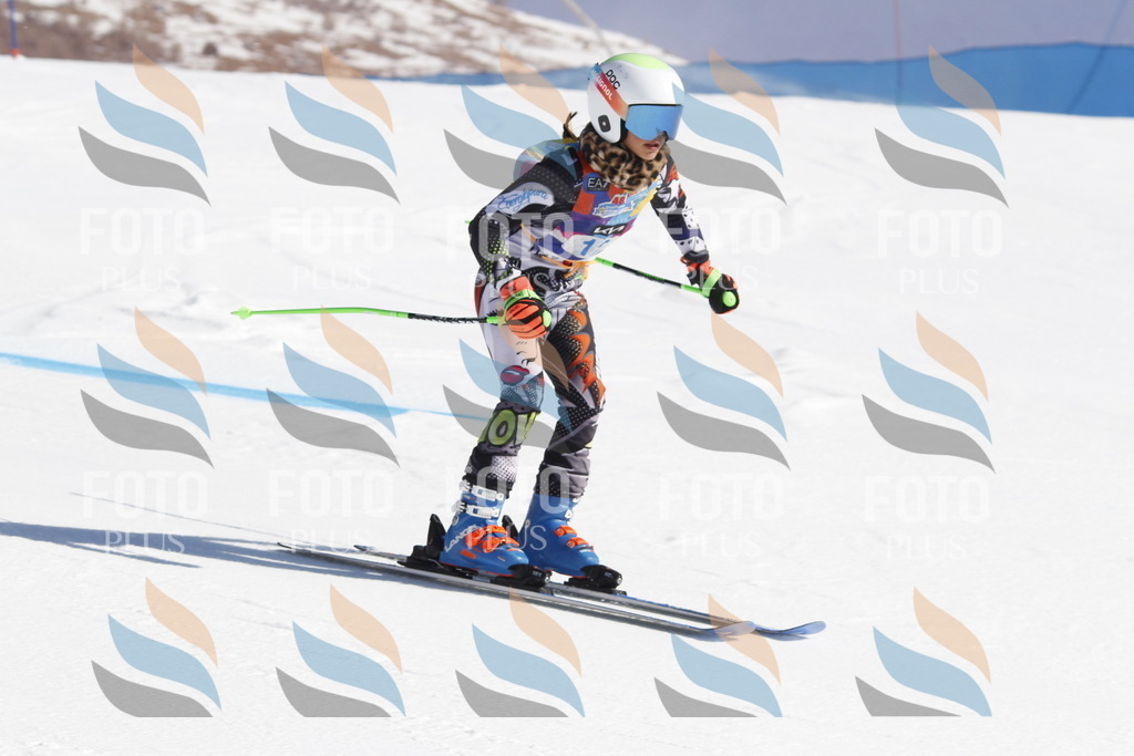 _U3G8697 | holidayphoto