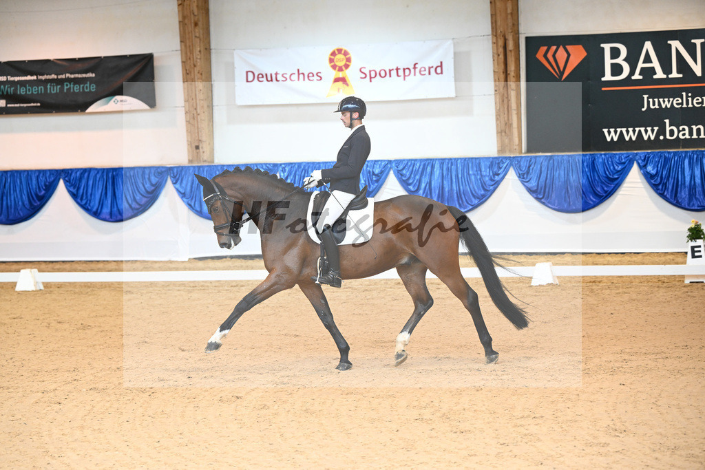 Kat-Nr. 39 Django_v d Vorst_14240523 | hf-fotografie - Realisiert mit Pictrs.com