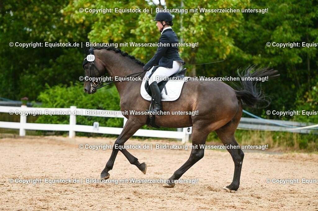 20230716_01_Dressurprüfung Kl.M_0415 | equistock