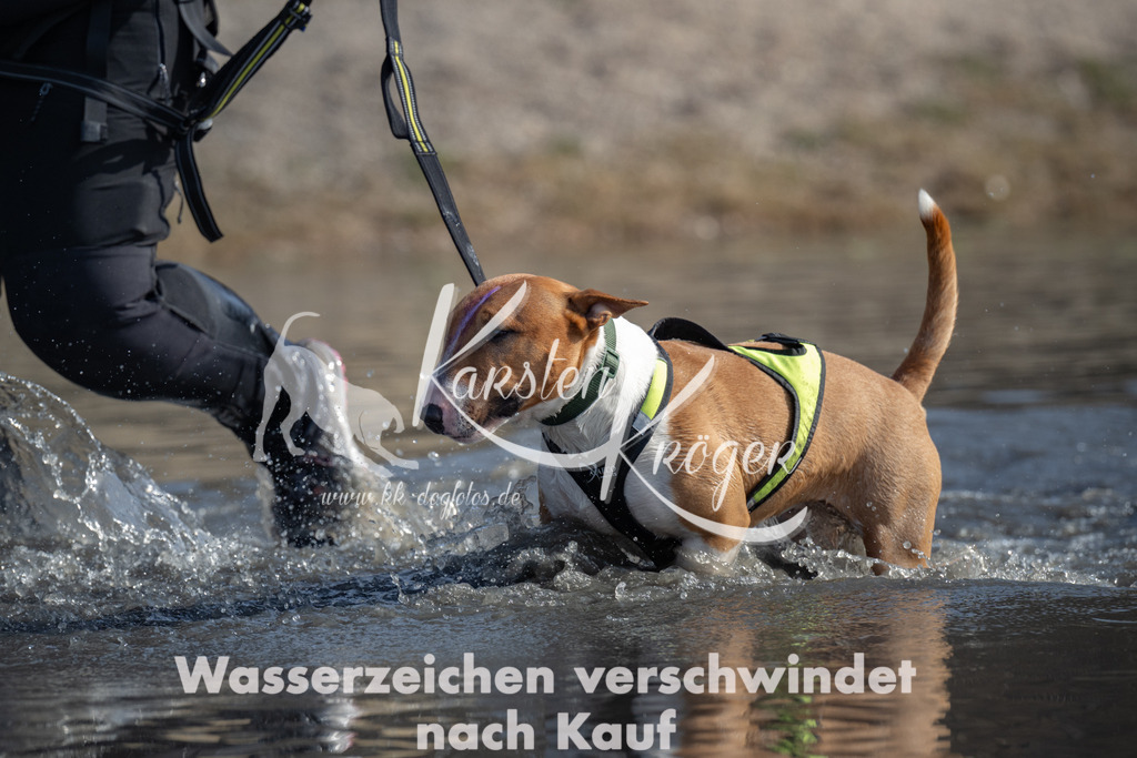 1144_ZZ96276-4 | kk-dogfotos