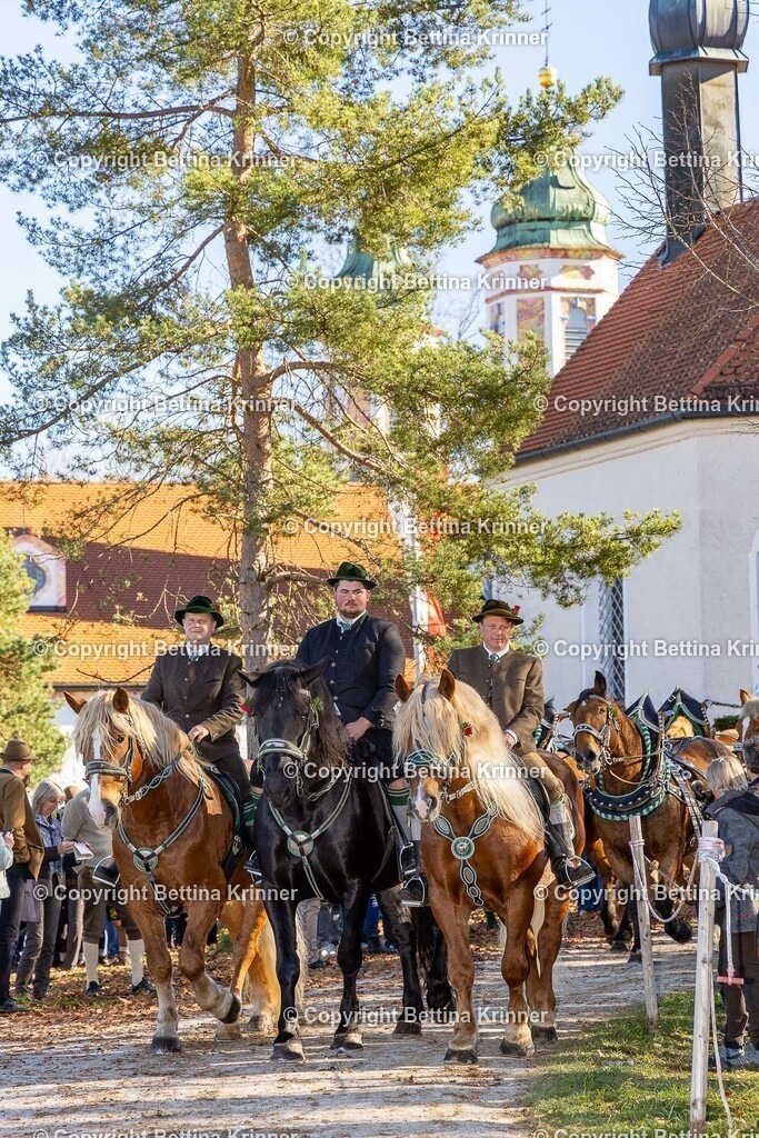 LBT25-1371 | foto-bettina-krinner - Realisiert mit Pictrs.com