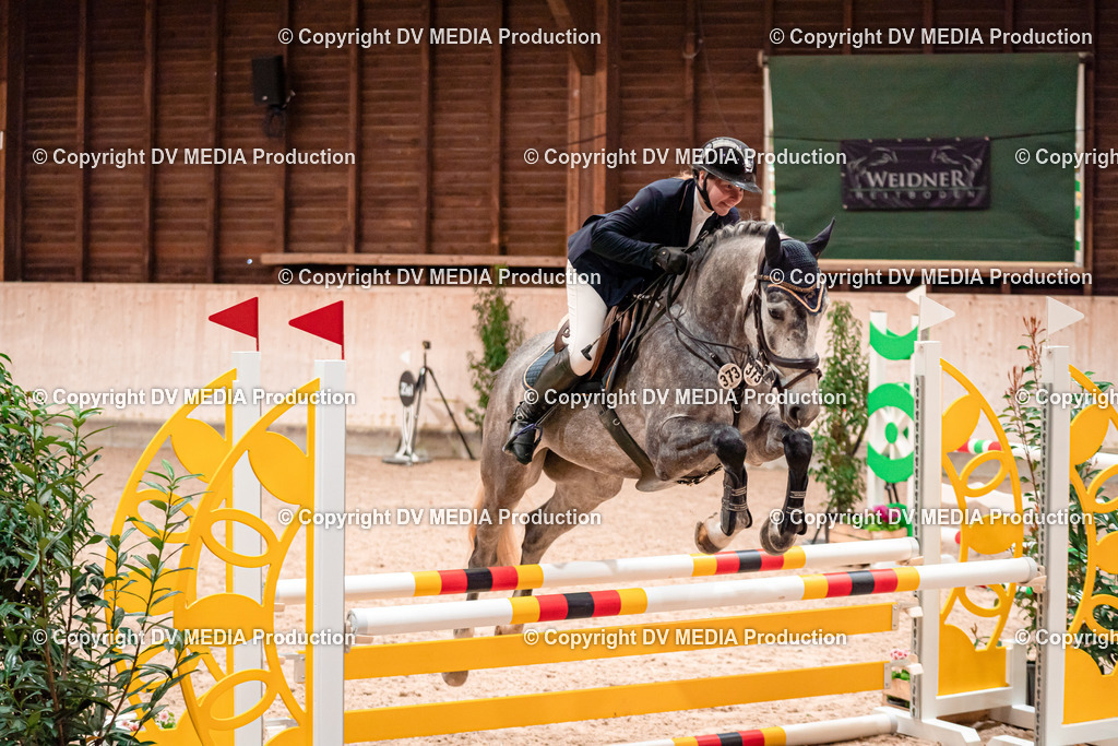 Springen Tag 1-46 | dv-media-shop - Realisiert mit Pictrs.com