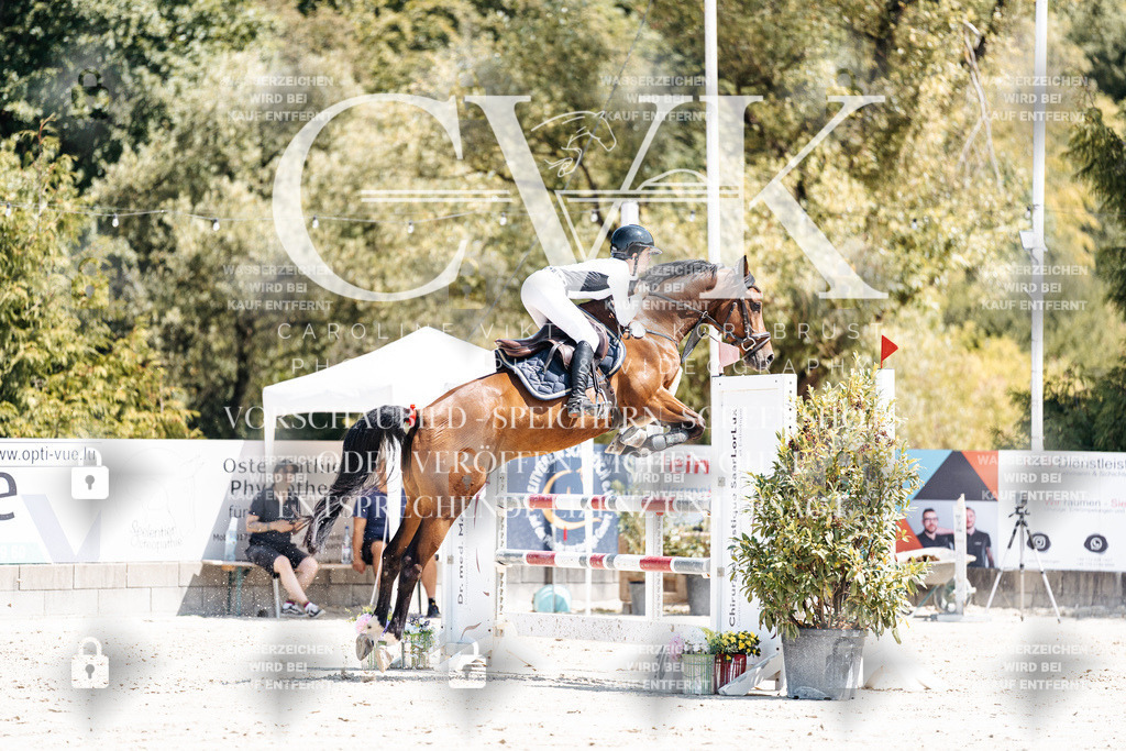 CK900271 | Turnierfotografie Pferdefotografie Trier Rheinland-Pfalz Pferdesport Reitsport Tierfotografie Sportfotografie Pferdevideo Pferdevideografie Equestrianvideography equestrianphotography  - Realisiert mit Pictrs.com
